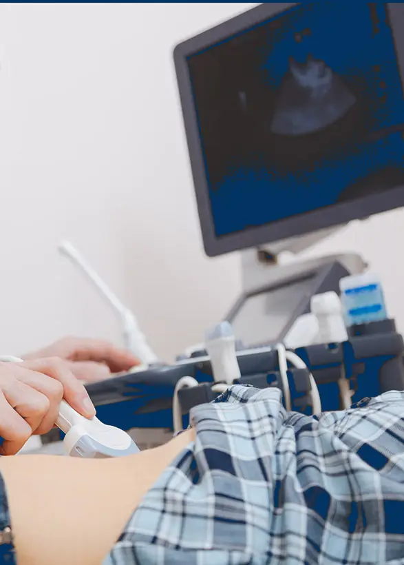 Digitalni endoskopski sistem i ultrazvučna dijagnostika u savremenoj urologiji