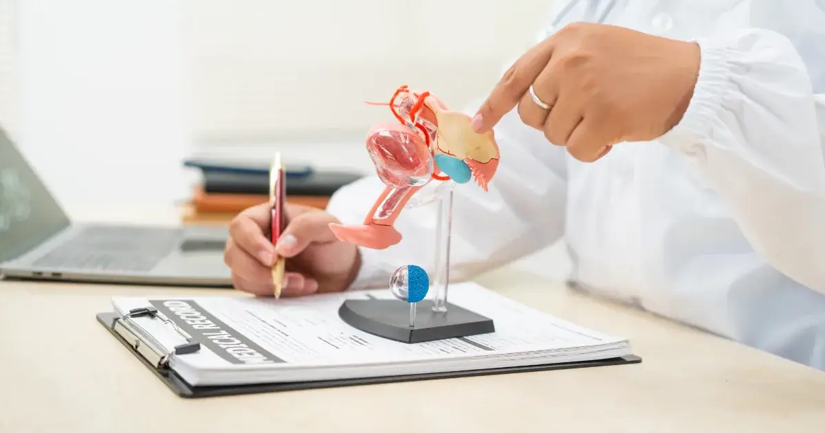 TOT operacija kod žena - lekar objašnjava anatomiju ženske karlice